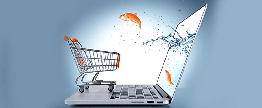 E-Ticaret Sitesi Kurmak